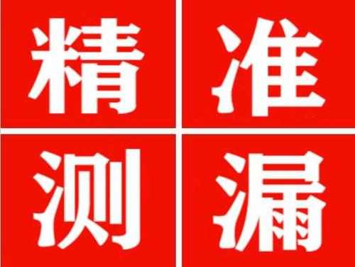 宾阳尚嘉漏水精准查找